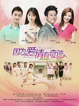 因為愛情有奇跡TV版