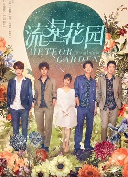 流星花園 DVD版